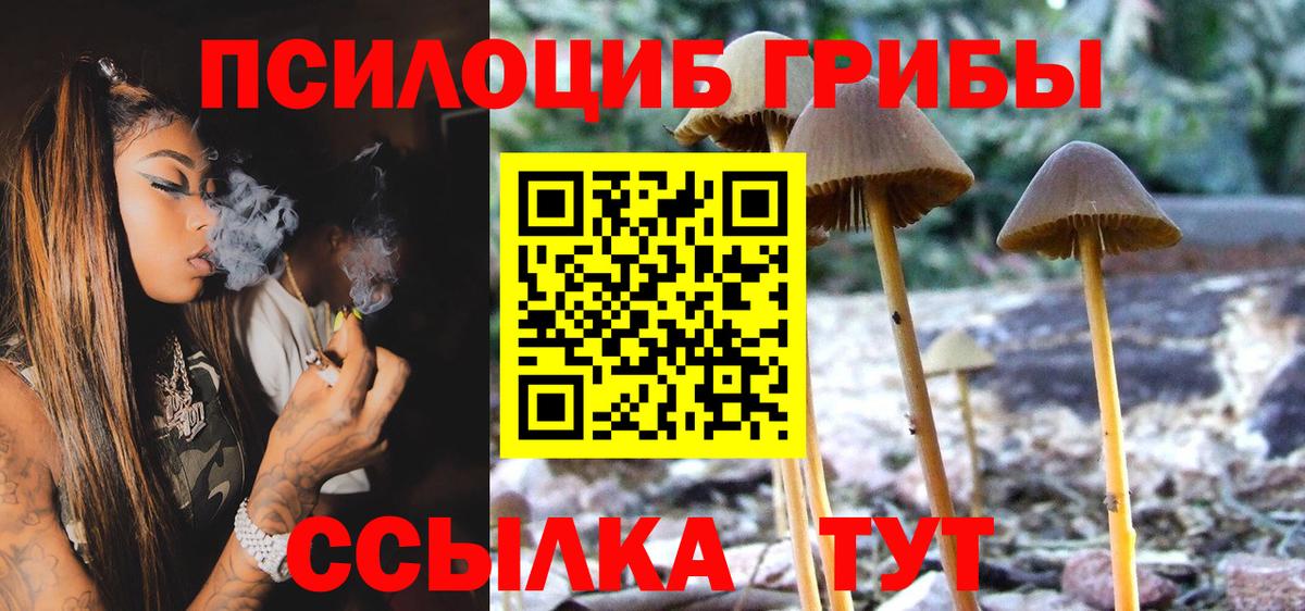 Псилоцибиновые грибы мицелий Рославль
