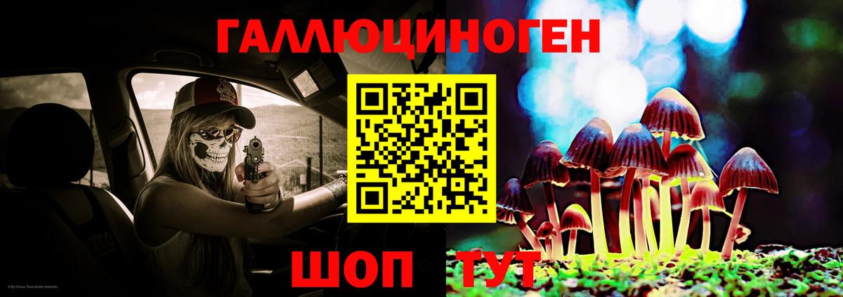 Рославль  Псилоцибиновые грибы Cubensis  Вход с VPN 