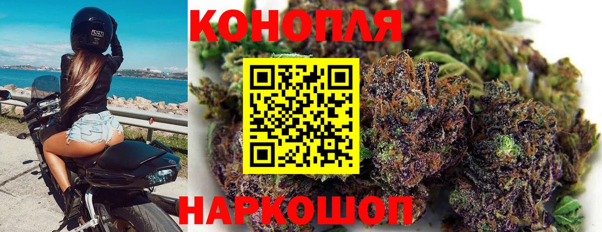 Бошки Шишки конопля Рославль
